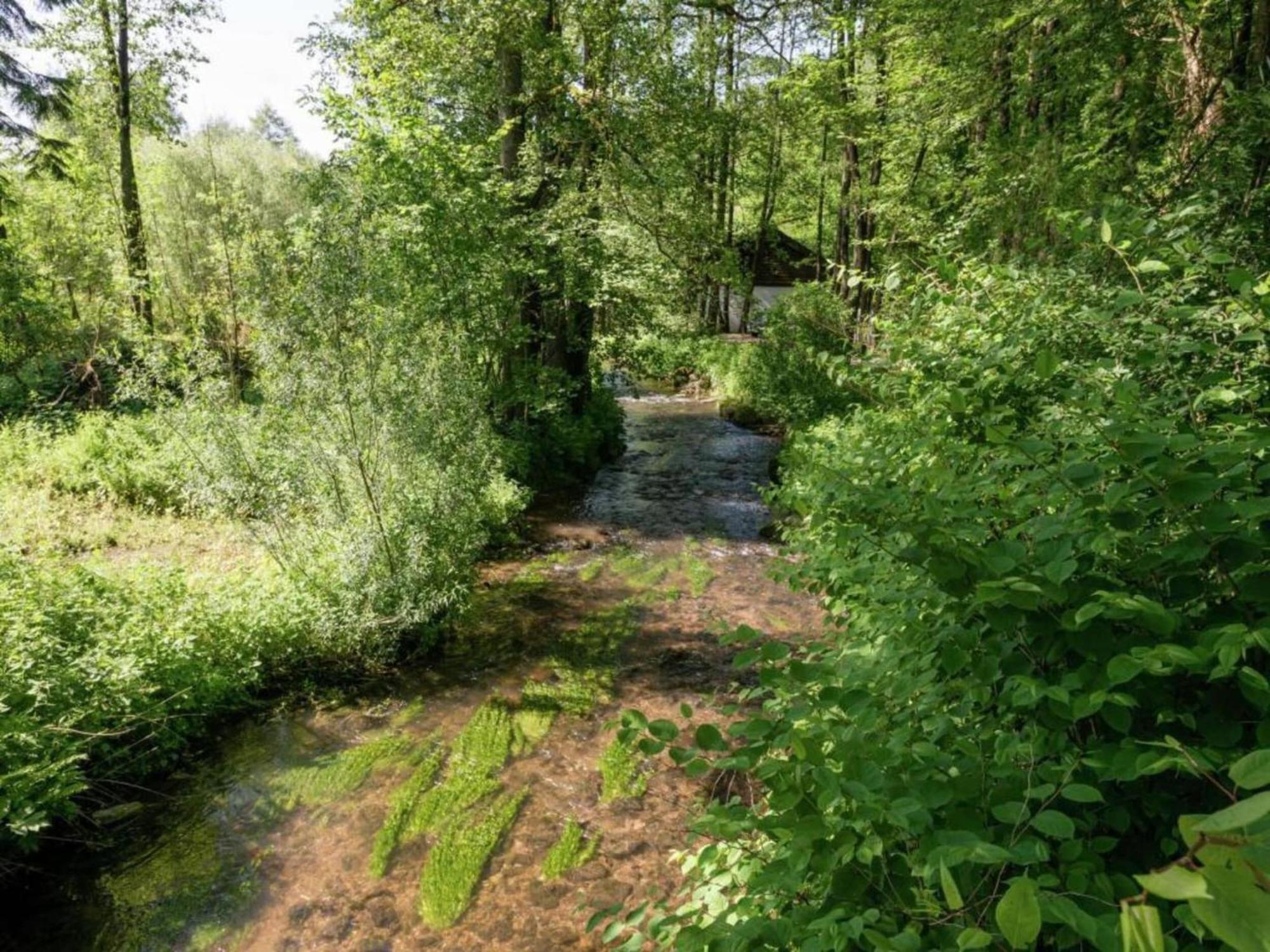 Charming Holiday Home In Malmedy With Sauna Esterno foto